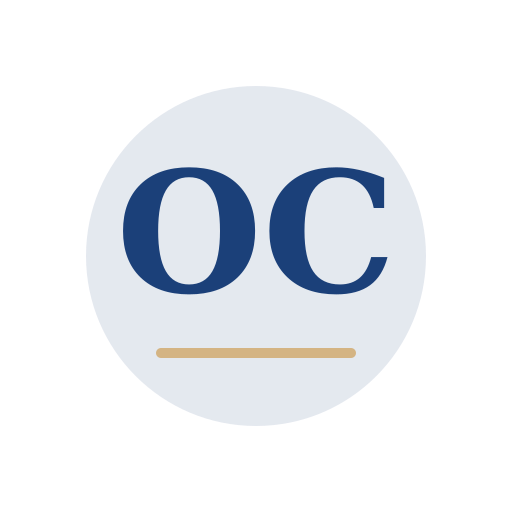 Osprey Chimney Service logo